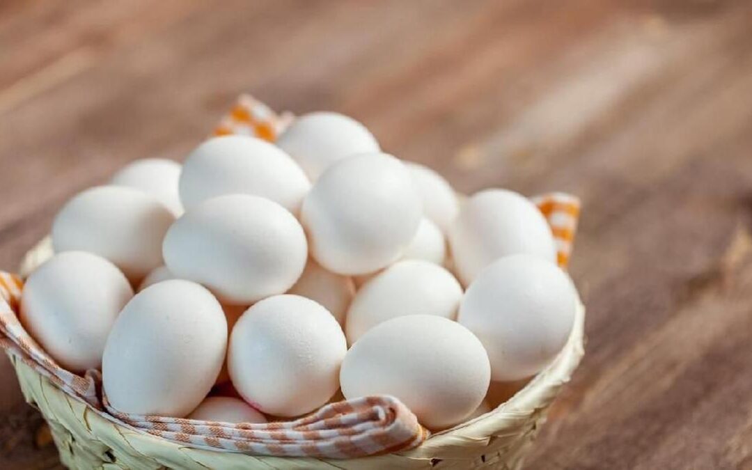 7 Keunggulan Telur Ayam Kampung untuk Tubuh Sehat Nomor 5 Penting Banget